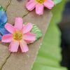 Flower hair pins - braid pins - updo pins - festival braids - Image 8