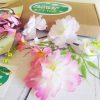 Pink Fizz - Childrens DIY Pale Pink Flower Crown Making Kit - Image 4