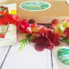 Rockin Red - Childrens DIY Red Flower Crown Kit - Image 5