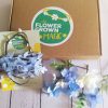 Dusty Blue - DIY Childrens Blue & White Flower Crown kit - Image 6