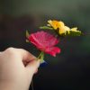 DIY Frida Kahlo Flower Crown Making Kit - Image 5