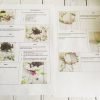 DIY Vintage Boho Flower Crown Making Kit - Image 7